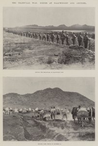 La guerre du Transvaal, scènes à Naauwpoort et Arundel